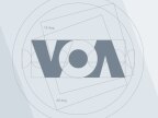 Pearson report