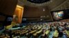 Are Governments Obligated to Protect Citizens From Climate Change? World Court to Weigh In 