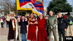 བོད་མི་སྒྱུ་རྩལ་བ་ཞིག་གི་བོད་དོན་ལས་འགུལ།