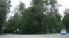 16x9 Image