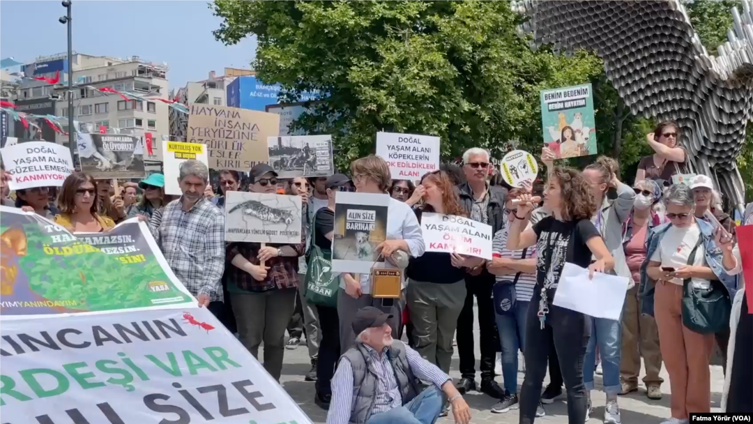 Üç kentte sokak hayvanları ile ilgili hazırlanan kanun teklifine karşı eylem düzenledi. 