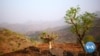Disputed Western Tigray Could Play Critical Role in Ethiopia Peace Talks 