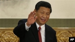 新任中共总书记习近平(资料照片)