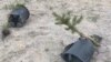 Saplings planted for the commemoration of the Digor mssacre of 1993 were attacked 
