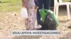 Avanzan investigaciones conjuntas contra el tráfico de inmigrantes 