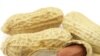 Study: Peanut Therapy Cures Kids' Allergies