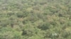 VIDEO: Despite recent progress battling the elusive Lord’s Resistance Army, some close to the fighting say it may take years before warlord Joseph Kony and his rebel forces are neutralized. Marthe van der Wolf visited parts of the Democratic Republic of Congo, Central African Republic and South Sudan to provide this report.