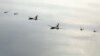 1일 한국 서해 상공에서 실시된 2023년 첫 미한 연합공중훈련에 미군 B-1B 전략폭격기(가운데)와 F-22 전투기(오른쪽), 한국군 F-35(왼쪽) 전투기가 동원됐다.