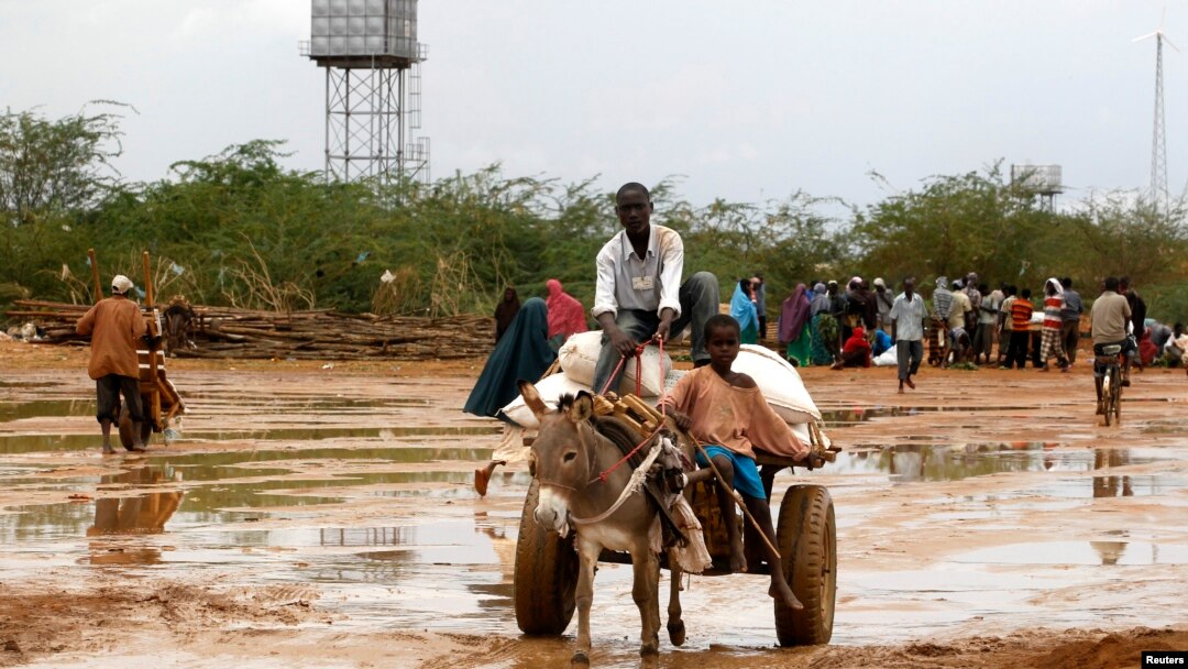 Newly arrived Somali refugees ride a donkey at the Ifo Extension refugee camp in Dadaab, near the Kenya-Somalia border, October 19, 2011.