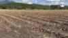 Nueve millones de centroamericanos sufren de inseguridad alimentaria