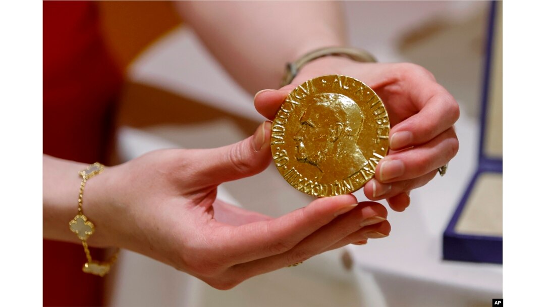 A worker holds Russian journalist Dmitry Muratov's 23-karat gold medal of the 2021 Nobel Peattce Prize before being auctioned at the Times Center, Monday, June 20, 2022, in New York. (AP Photo/Eduardo Munoz Alvarez)
