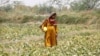 Mothers Suffer in Hottest City on Earth