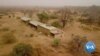 Animals Rescued From Former Burkina Faso President’s Private Zoo 