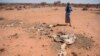 FILE - Mohamed Aden Guleid looks at one of his camels on which succumbed to drought in Somaliland region of Somalia, Feb. 9, 2017. (VOA/Jason Patinkin) 