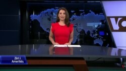 Ditari - Njëqind ditë prej fillimit të agresionit rus në Ukrainë 