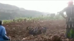 Maporomoko ya ardhi yaua watu zaidi ya 30