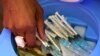 FILE - A health worker picks syringes as seniors get vaccinated with the first dose of the Pfizer coronavirus vaccine at the newly-opened mass vaccination program for the elderly at a drive-thru vaccination center in Johannesburg, South Africa, May 25, 2021.