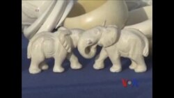 美国禁止象牙交易 全球协力拯救濒危大象