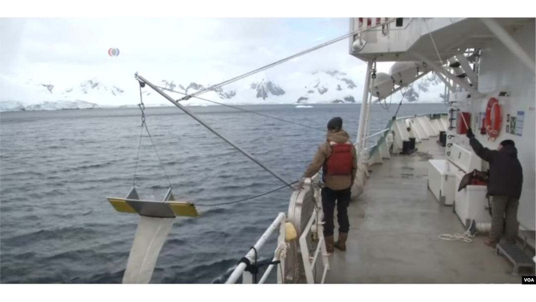 Greenpeace collected their snow and seawater samples from Antarctica during a three month trip to the southern continent.