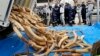 FILE - French Customs employees protect themselves from fragments as about 698 elephant tusks are unloaded before being crushed into dust, at the foot of the Eiffel Tower in Paris, Thursday, Feb. 6, 2014.