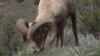 16x9 Image