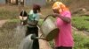 Watering crops in Africa