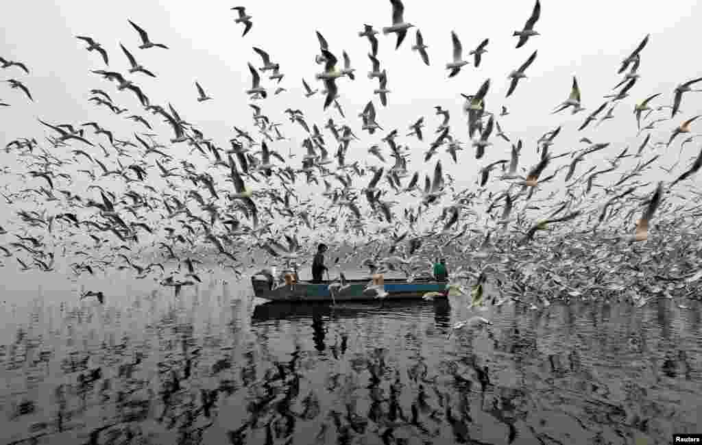 Men feed seagulls along the Yamuna river on a smoggy morning in New Delhi, India.