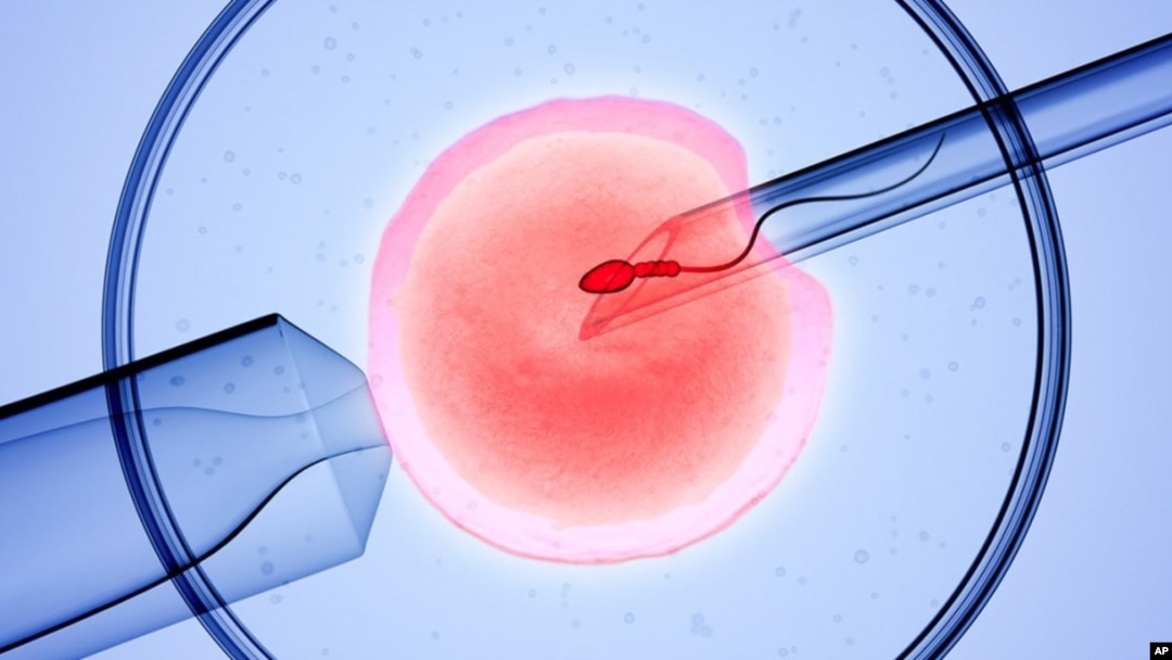 The proposed law would permit doctors to combine male and female cells to create an embryo in unmarried or gay women. 