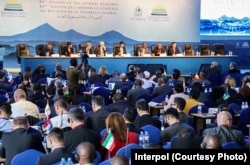 "Interpol" yig'ini, 2015