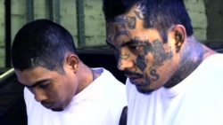 MS-13 Origins - Part 1 of VOA Series