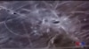 16x9 Image