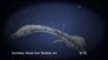 Fossils From Angola Bring Strange Yet Familiar Ocean into View
