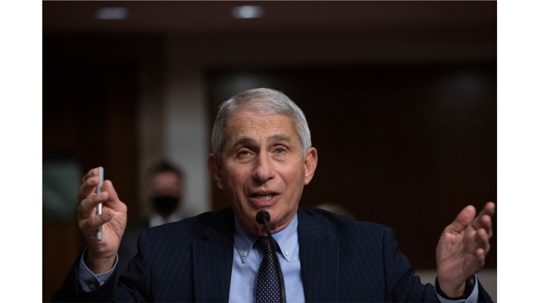 Dr. Anthony Fauci, Director of the National Institute of Allergy and Infectious Diseases at the National Institutes of Health, listens during a Senate hearing, Sept. 23, 2020, in Washington.