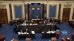 Сенат США ухвалив бюджет Пентагону з 300 мільйонами для України. Відео