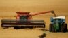 AQSh fermerlarining bugundi dardi - tariflar