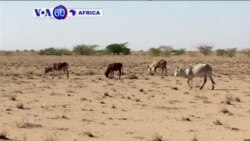 VOA60 AFRICA - DECEMBER 09, 2015