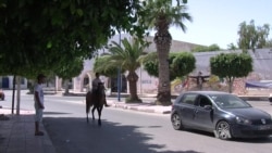 Tunisian Fishing Town Searches for Jobs, Local Development Solutions