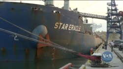 За допомогою США під Одесою відкрили зерновий термінал. Відео