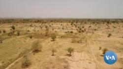 Company Plants Trees in Burkina Faso to Slow Desertification in Conflict Zones 