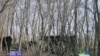 16x9 Image