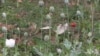 16x9 Image