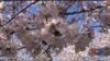 16x9 Image