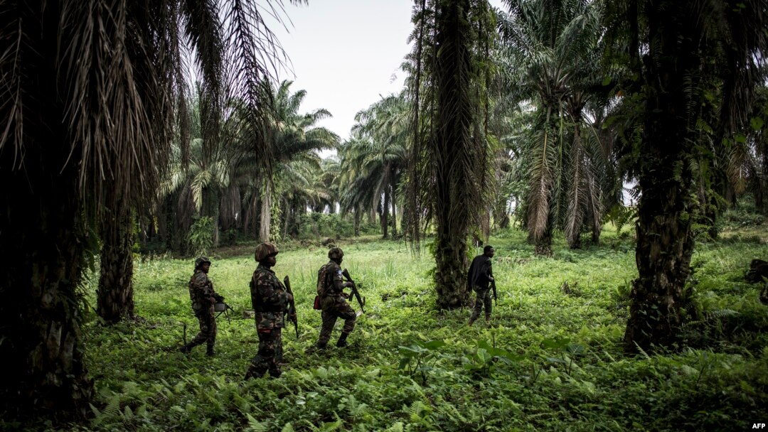 Ba soda ya Tanzanie ya Monusco na Beni, Nord-Kivu, 13 novembre 2018.
