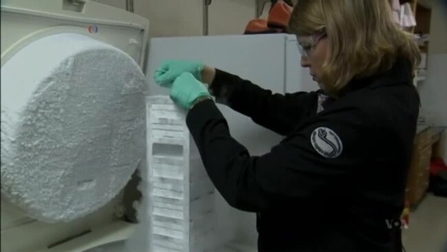 Work on Ebola Treatments Speeds Up to Address Outbreak