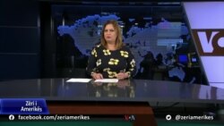 Ditari - Qeveria e Suedisë merr vendimin zyrtar për të paraqitur kërkesën për anëtarësim në NATO