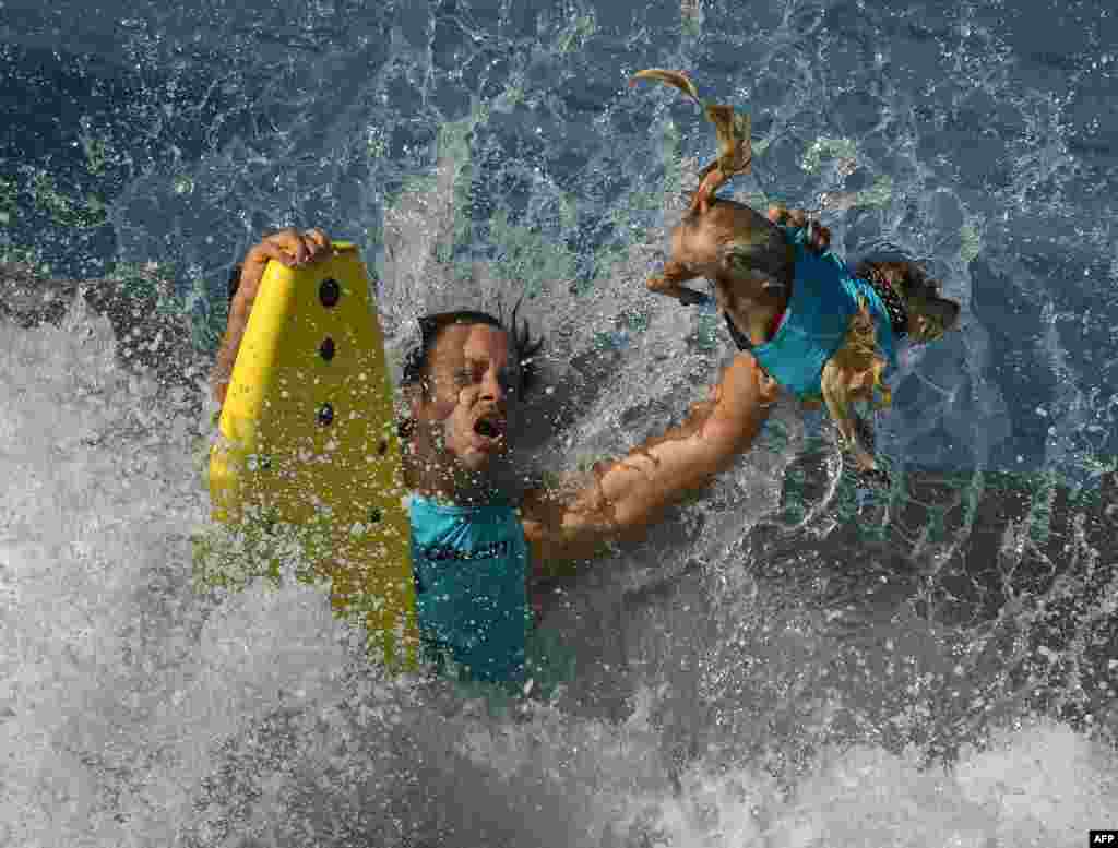 Surf dog Prince Dudeman and owner Ryan Thor get hit by a large wave in the second heat of the Small Dog event during the 9th annual Surf City Surf Dog event at Huntington Beach, California, Sept. 23, 2017.