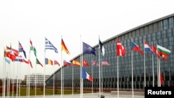 Flags of NATO member countries are seen at the Alliance headquarters in Brussels, Belgium, Nov. 26, 2019. 