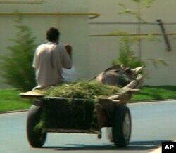 O'zbekistonni hech kim tashqaridan kelib o'zgartira olmaydi, deydi mutaxassis