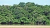 The Dzanga-Ndoki National Park and Dzanga-Sangha dense forest special reserve are located in the rainforest in the south-western part of the Central African Republic, Congo Basin. They comprise a total area of more than 4 000 km2 (more than 400 000 hectar