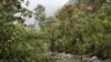 DRC / Virunga National Park